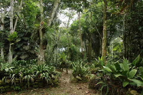 Jardin de Orquideas