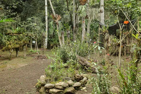 Jardin de Orquideas      