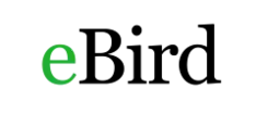 ebird